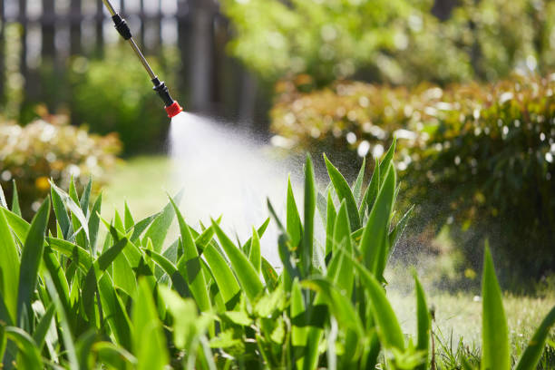 24/7 Emergency Fumigation Services experts in Hagerman, ID