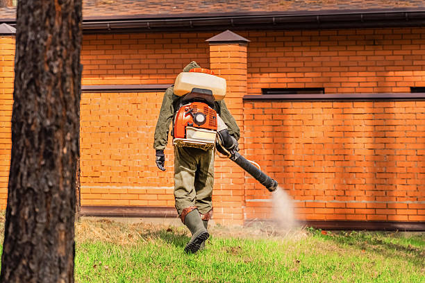 Top rated local Fumigation Services specialists in Hagerman, ID